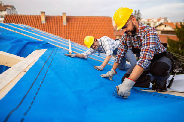 Best Roof Maintenance Services  in Northwoods, MO